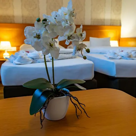 Barbakan ホテル 3*